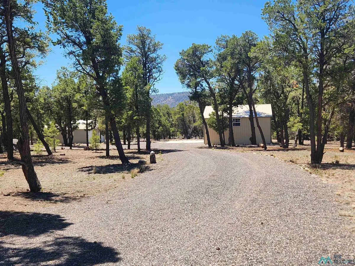 112 Paradise Road, Quemado, NM 87829 - #1