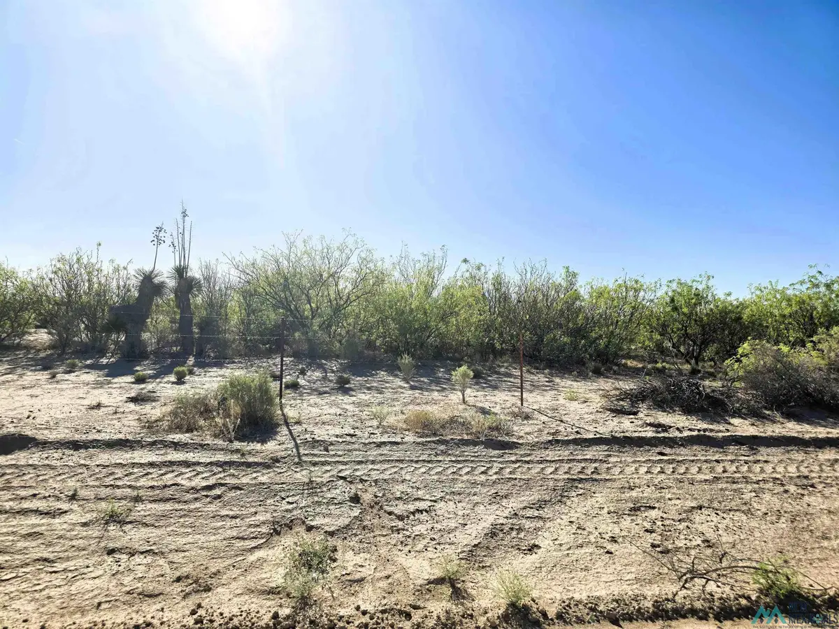0000 La Bajada Sw Road, Deming, NM 88030 - #1