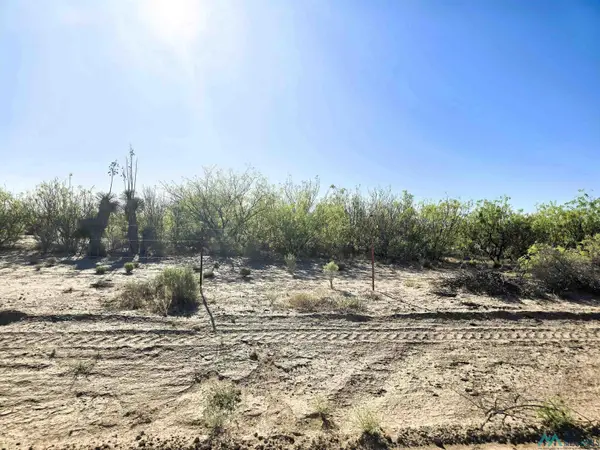 0000 La Bajada Sw Road, Deming, NM 88030