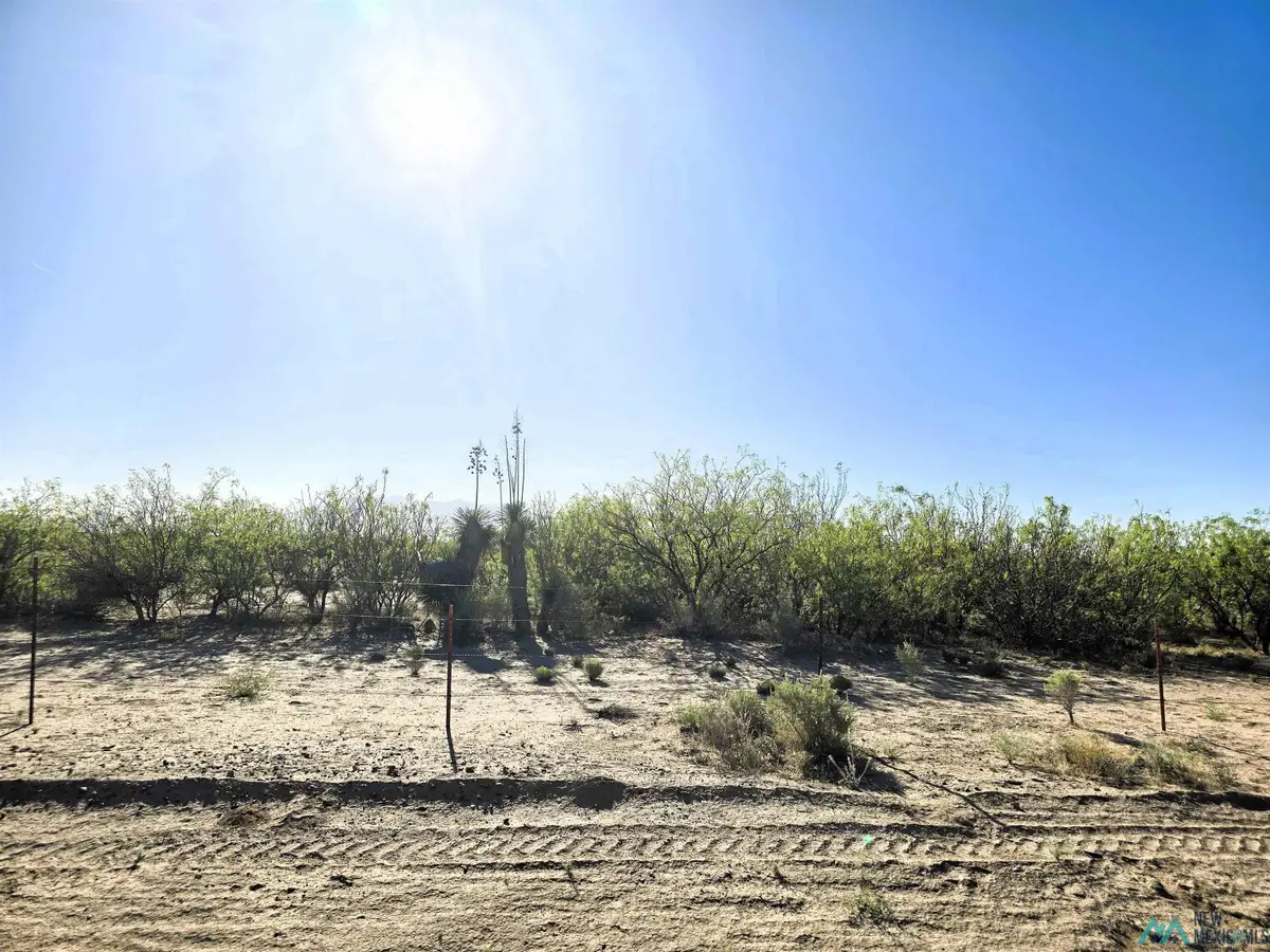 0000 Camino De Valdes Sw Road, Deming, NM 88030 - #1