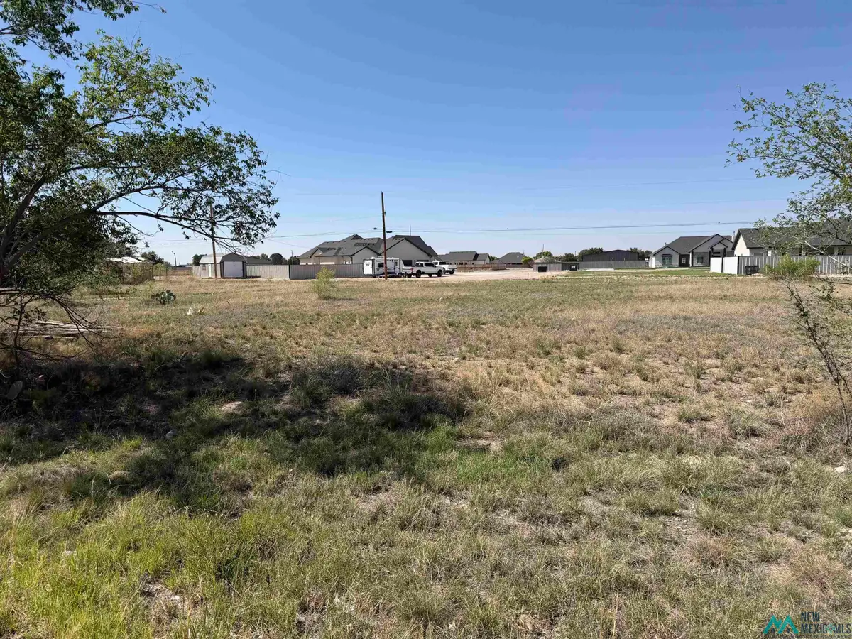 TBD Sockwell Drive, Hobbs, NM 88240 - #1