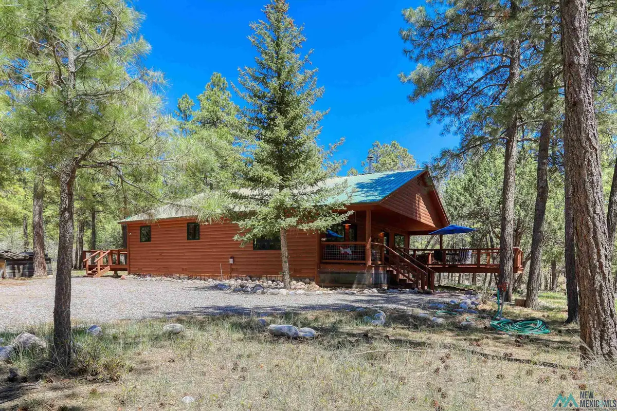 457B State Highway 512 Highway, Chama, NM 87520 - #1
