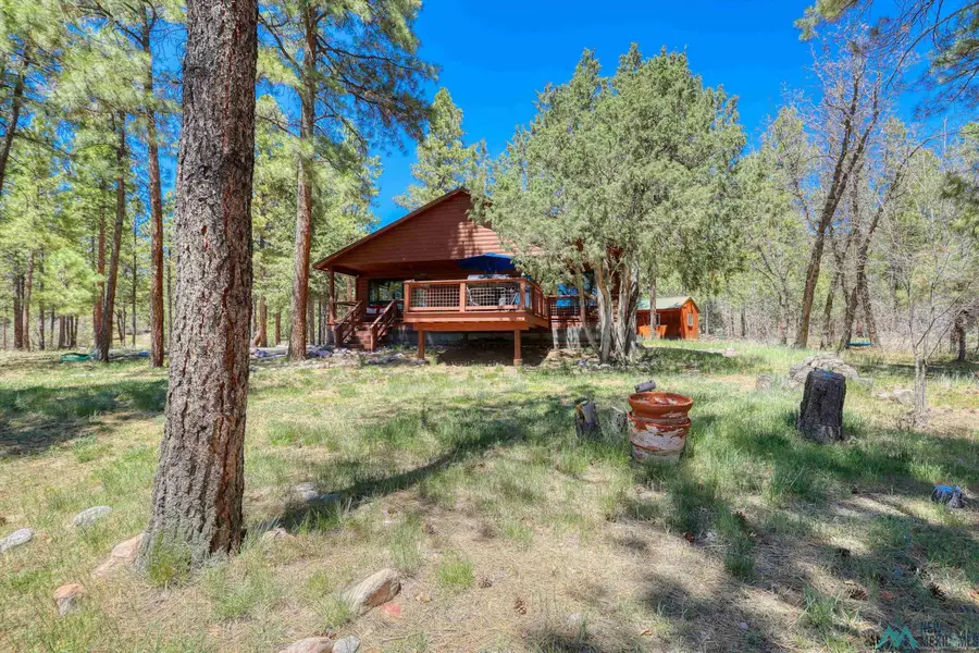 457B State Highway 512 Highway, Chama, NM 87520 - #2