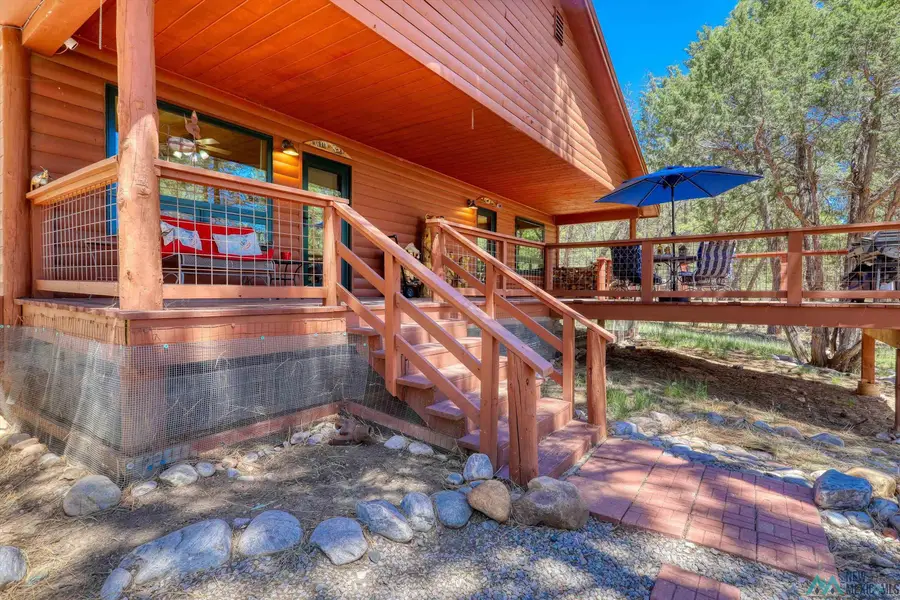 457B State Highway 512 Highway, Chama, NM 87520 - #3