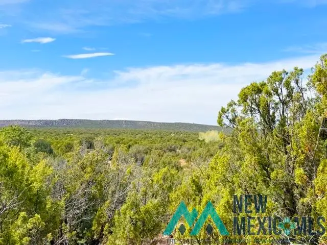 40 Acres Off Of Cr B-29, Ribera, NM 87560 - #1