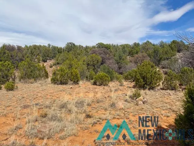 40 Acres Off Of Cr B-29, Ribera, NM 87560 - #2