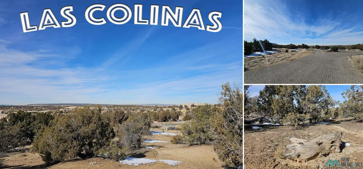 1811 Placitas Trail, Farmington, NM 87401 - #1