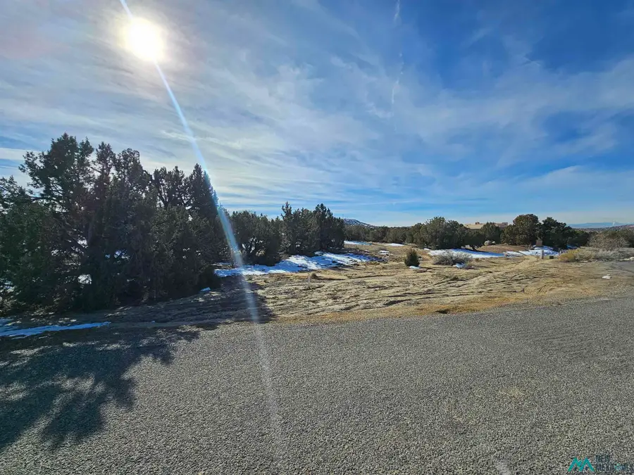 1811 Placitas Trail, Farmington, NM 87401 - #2