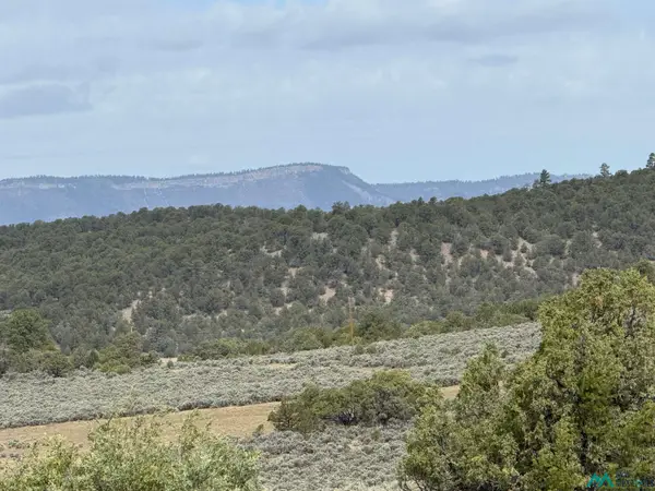 TBD U-3 T-4 Talavera Road, Tierra Amarilla, NM 87575