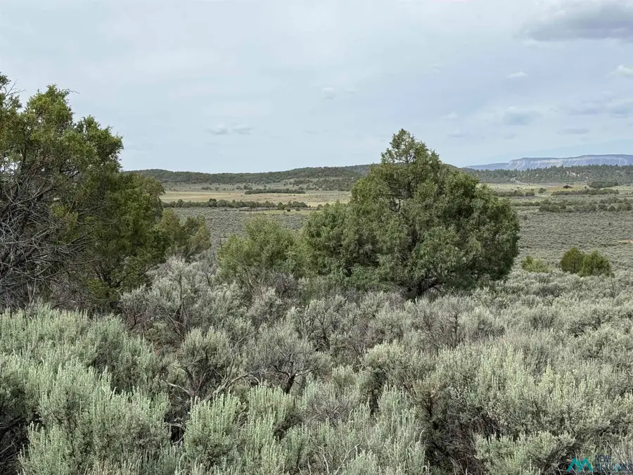 TBD U-3 T-4 Talavera Road, Tierra Amarilla, NM 87575 - #2