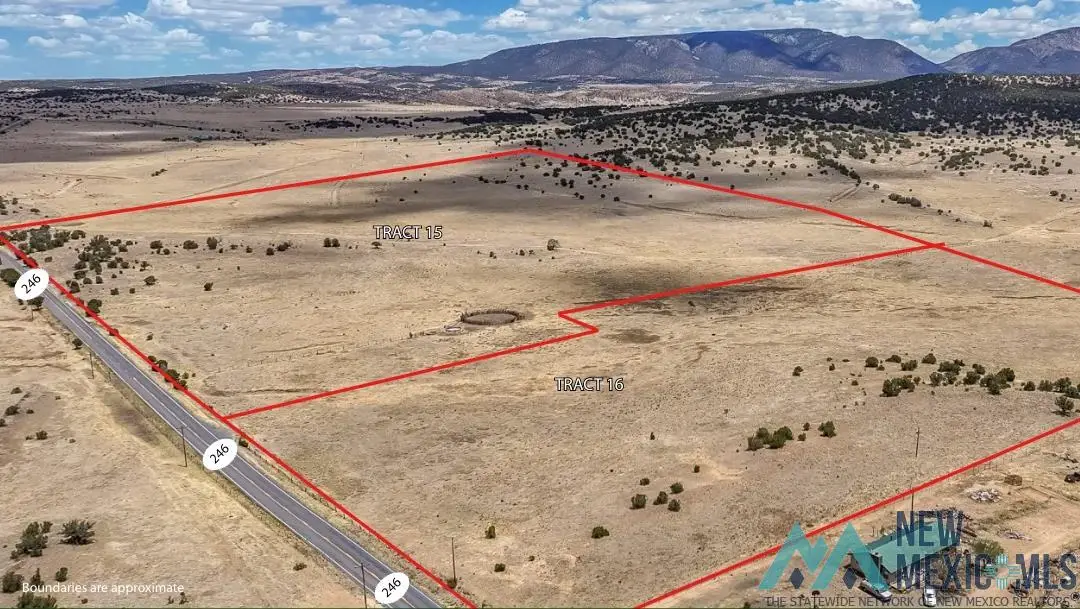 0 N 246, Capitan, NM 88316 - #1