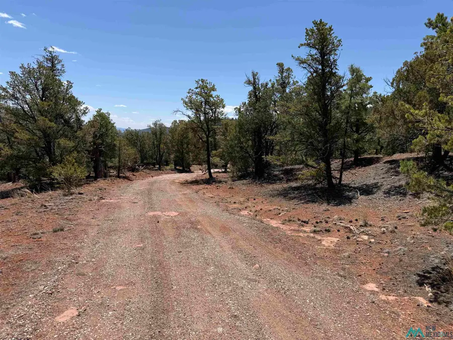 TBD Little Arrow Road, El Morro Valley, NM 87321 - #3