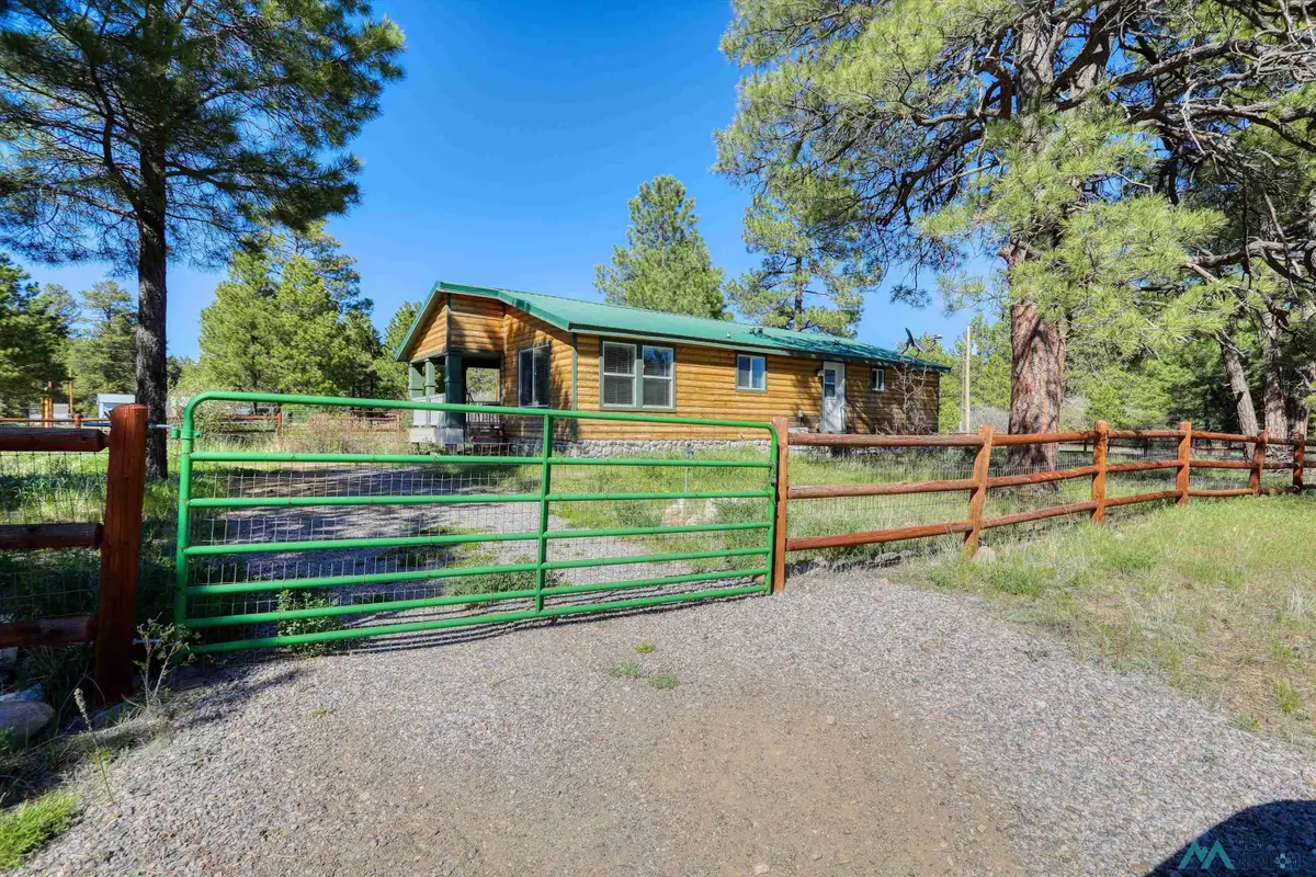 781 Sandoval Street, Chama, NM 87520 - #1