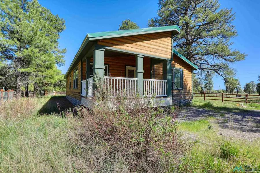 781 Sandoval Street, Chama, NM 87520 - #2