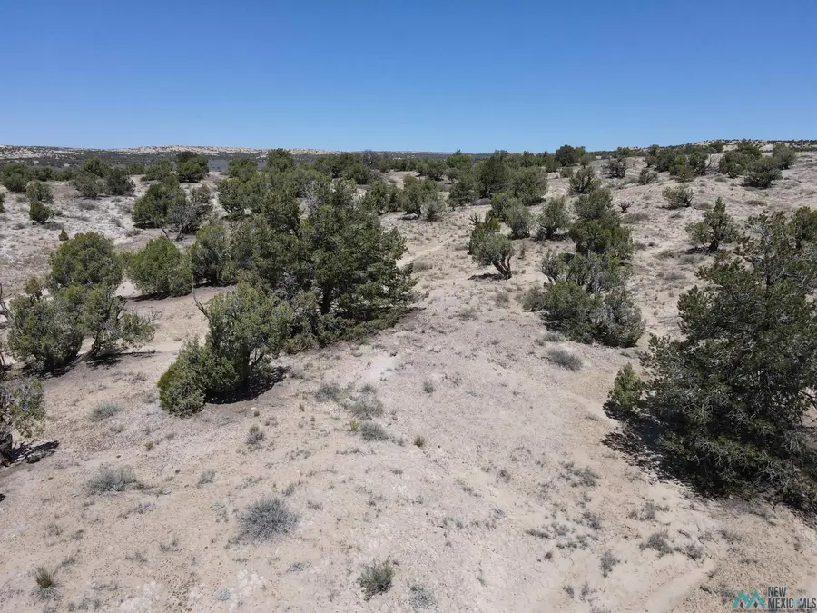 NYA Road 3160, Aztec, NM 87410 - #3