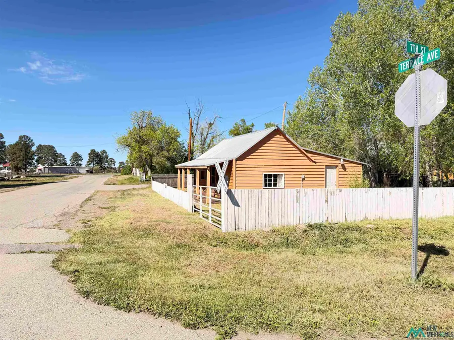 701 Terrace Avenue, Chama, NM 87520 - #3
