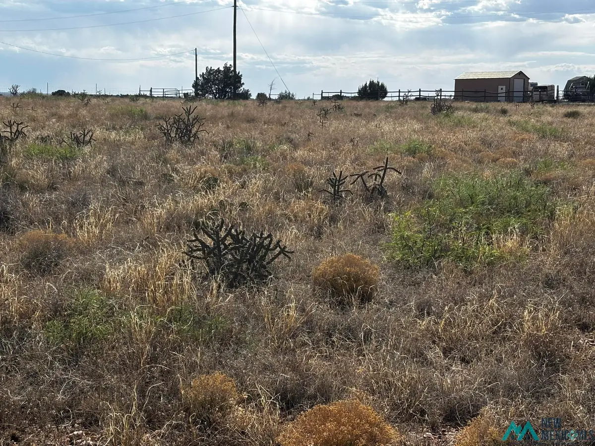 Sr 203 Highway, Fort Sumner, NM 88119 - #1