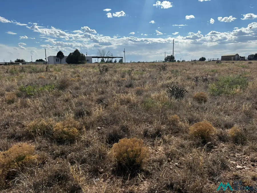 Sr 203 Highway, Fort Sumner, NM 88119 - #2