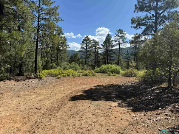 TBD Buckman Road Road, Chama, NM 87520