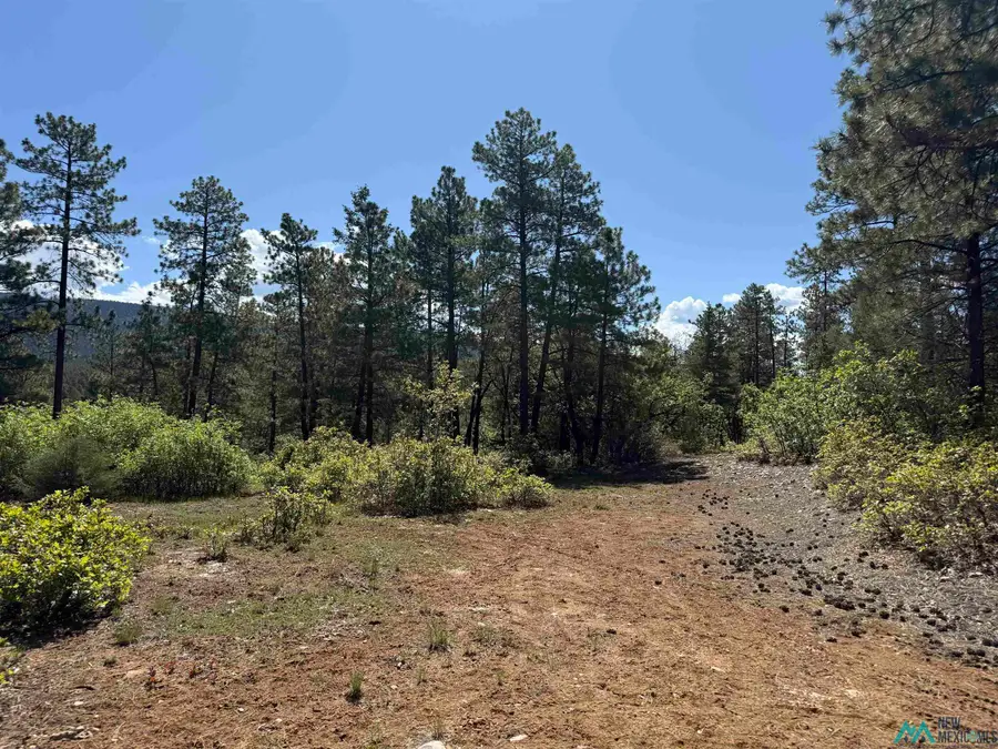 TBD Buckman Road Road, Chama, NM 87520 - #2