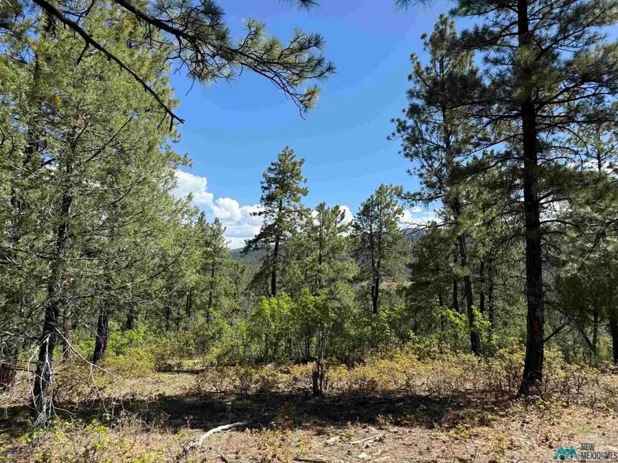 TBD Buckman Road Road, Chama, NM 87520 - #3