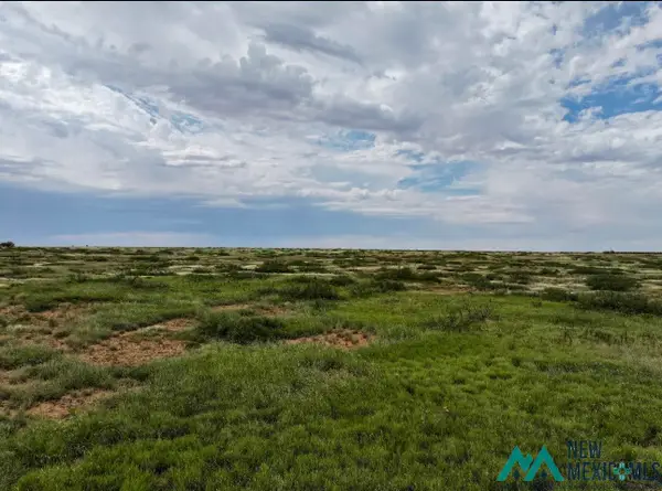 00 Dona Ana Road, Roswell, NM 88201