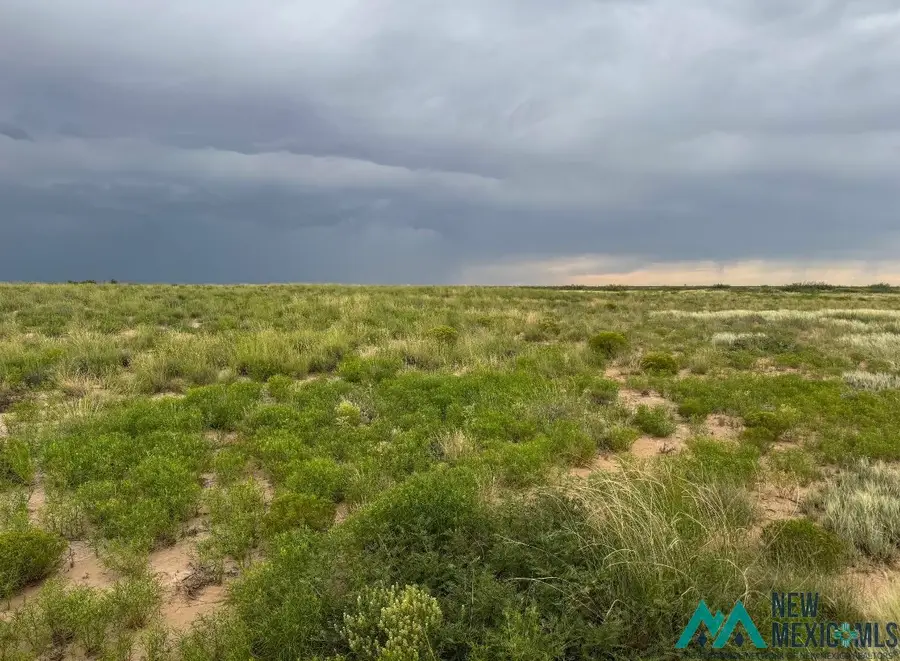 00 Dona Ana Road, Roswell, NM 88201 - #3