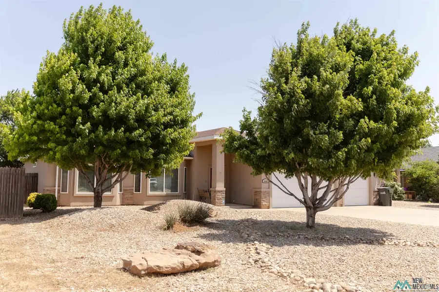 3008 Fred Daugherty Drive, Clovis, NM 88101 - #2