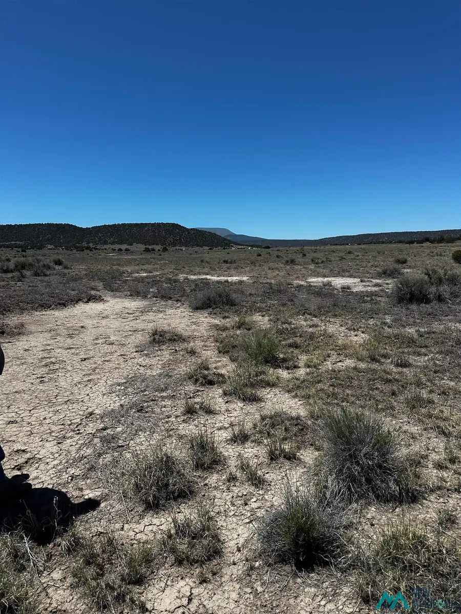 37 Airport Road, Quemado, NM 87829 - #2