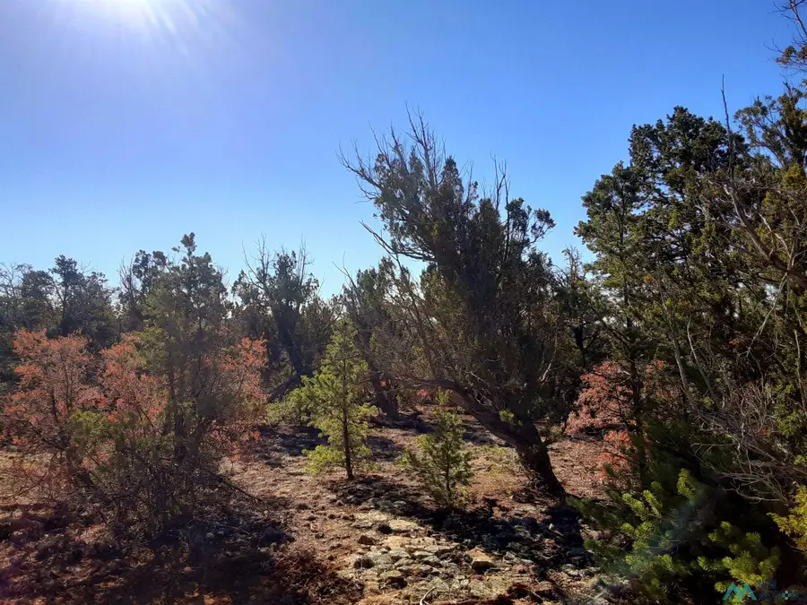 26 David's Rock Road, Pinehill, NM 87357 - #3