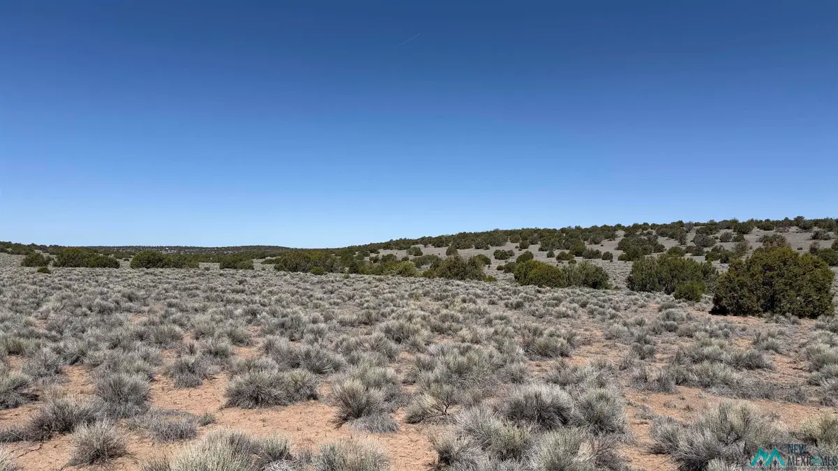 TBD Horseshoe Trail Road, Quemado, NM 87829 - #1