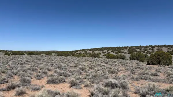 TBD Horseshoe Trail Road, Quemado, NM 87829