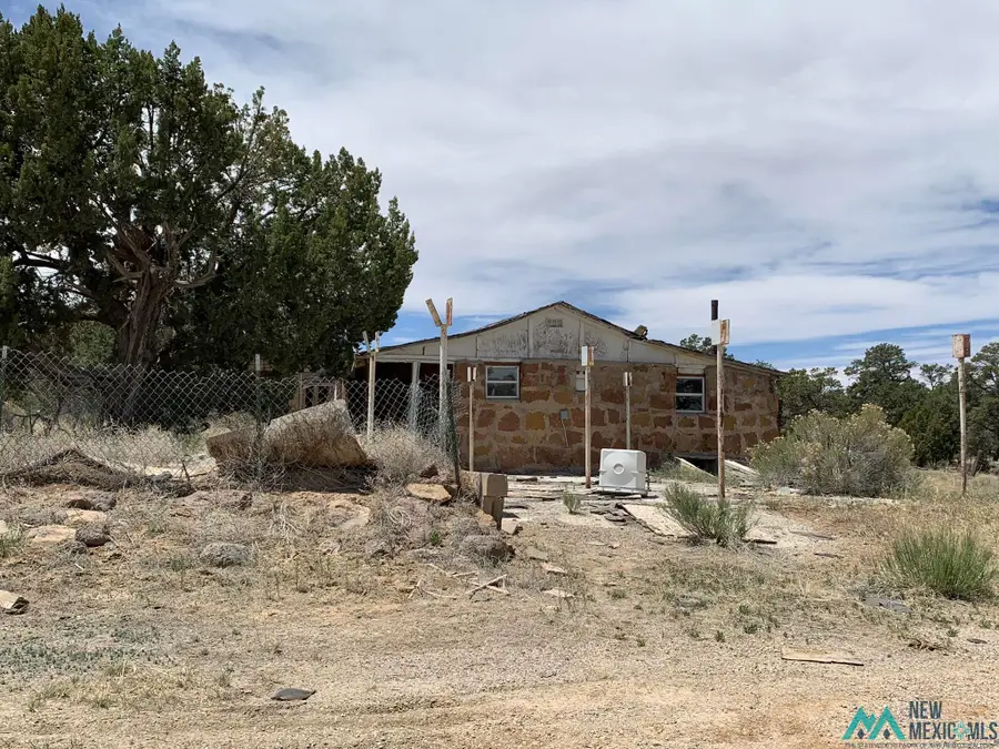 281 Candy Kitchen Road, Candy Kitchen, NM 87357 - #3