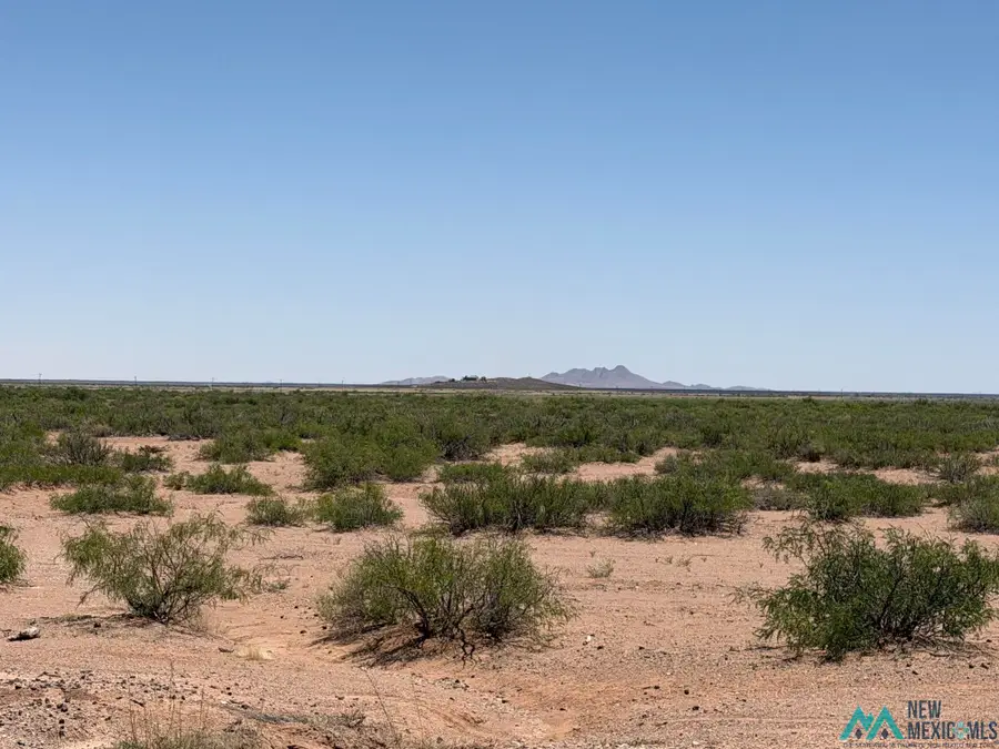S El Paso St, Columbus, NM 88029 - #2