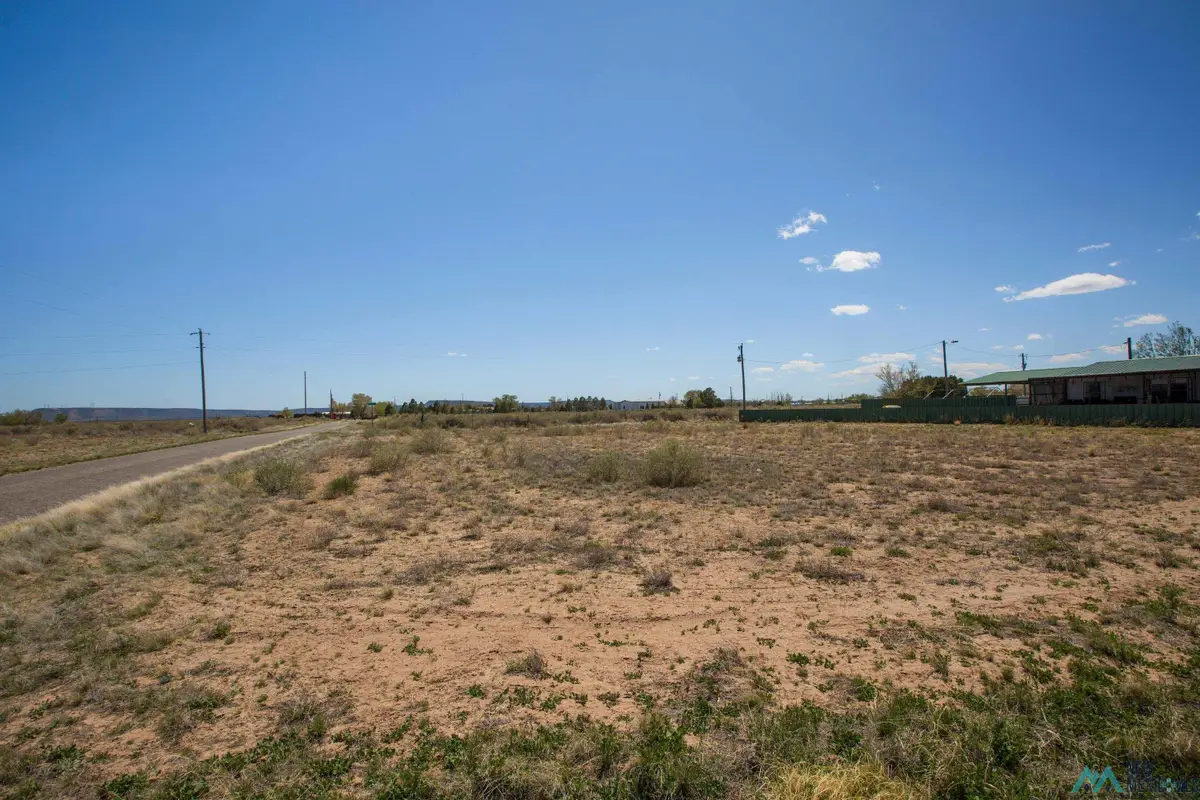 Lot: 1-4 Block 8, Willard, NM 87063 - #1