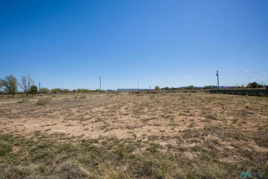Lot: 1-4 Block 8, Willard, NM 87063 - #2