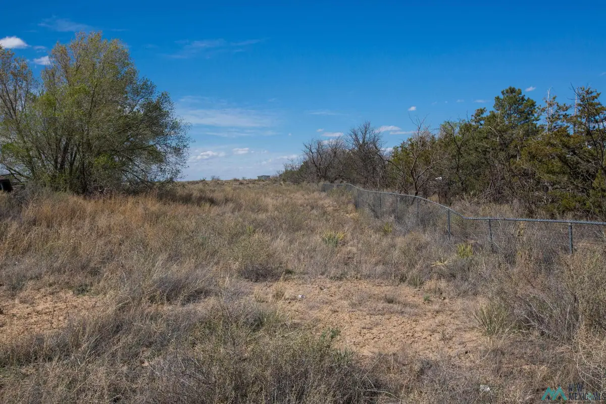 Lot: 1 Block 11, Willard, NM 87063 - #1