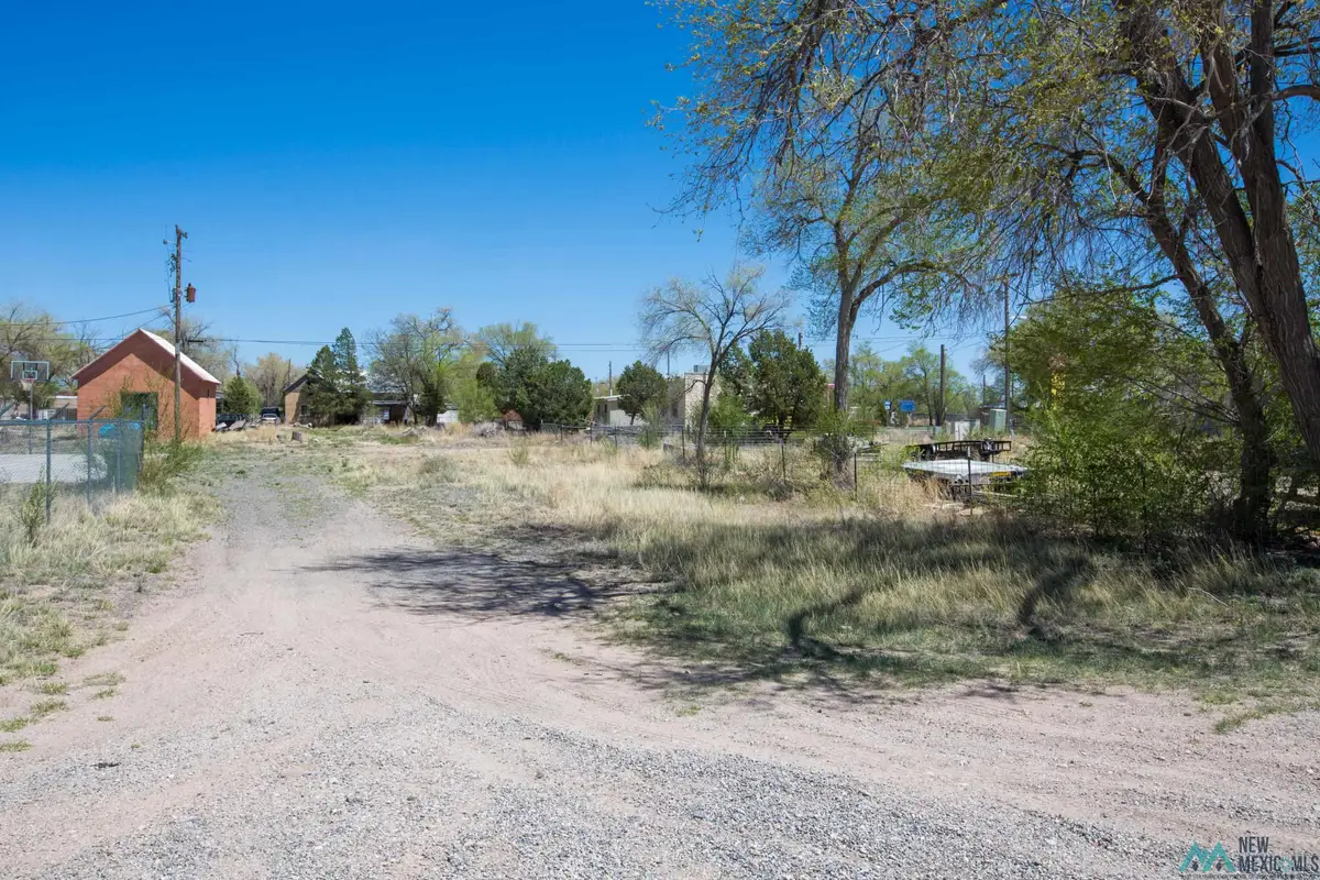 Lot: 7-8 Block 14, Willard, NM 87063 - #1