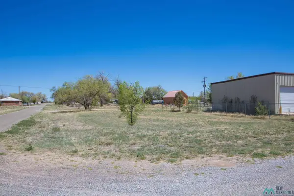 Lot: 1-2 Block 14, Willard, NM 87063