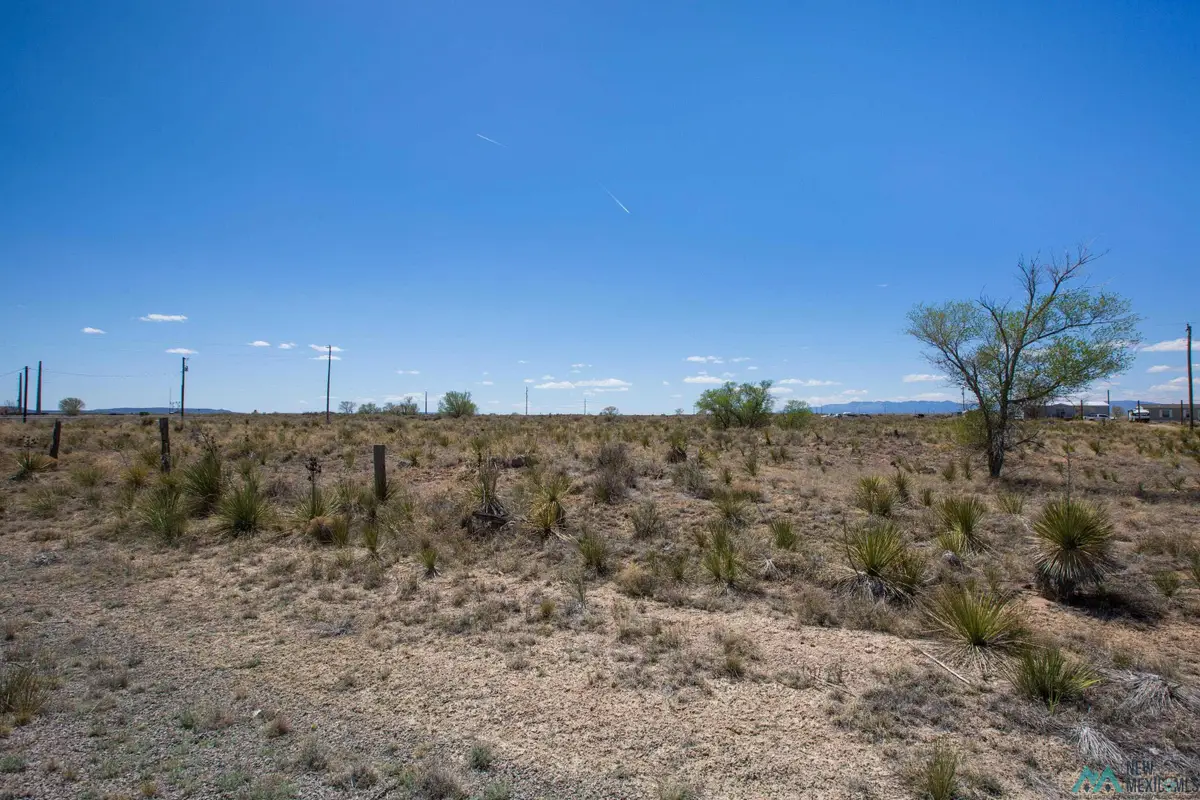 Lot: 1-12 Block 28, Willard, NM 87063 - #1
