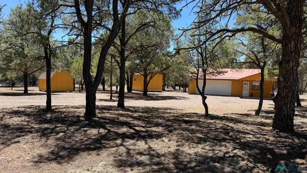 227 El Caso Rd Road, Quemado, NM 87829