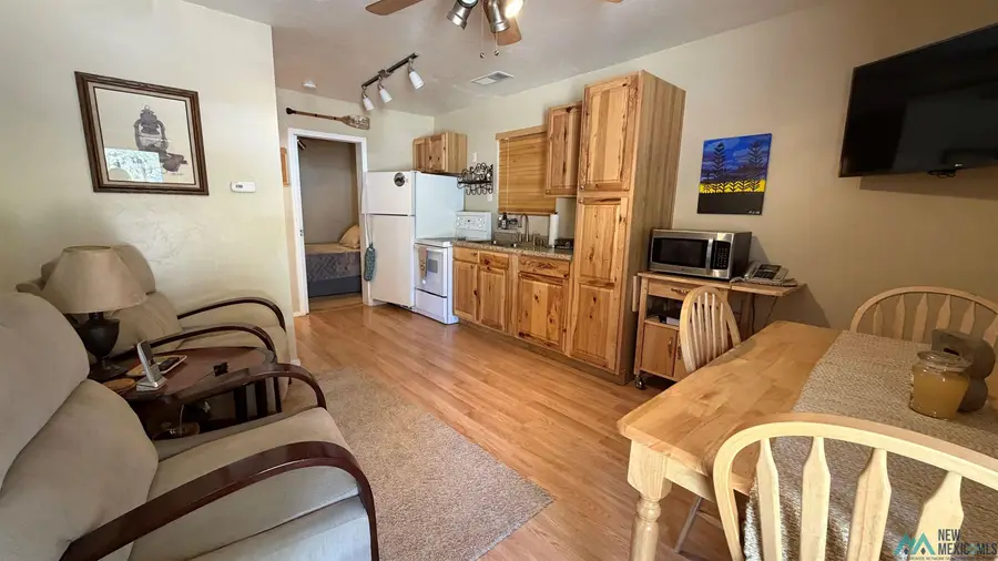 227 El Caso Rd Road, Quemado, NM 87829 - #3