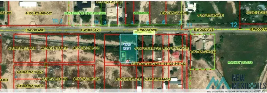 1009 E Wood Avenue, Carlsbad, NM 88220 - #2