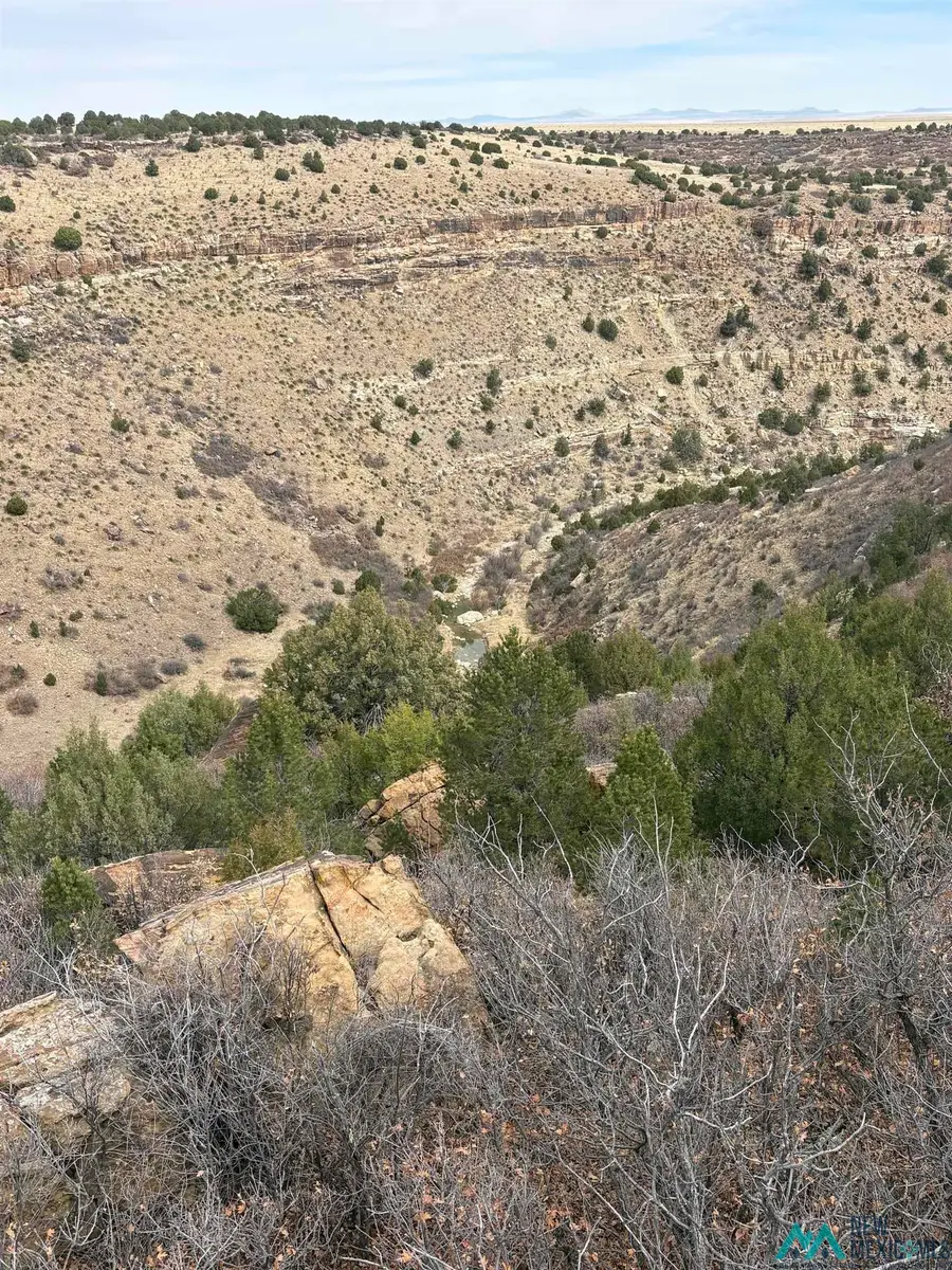 CR 29 County Road 29 Road, Wagon Mound, NM 87735 - #3