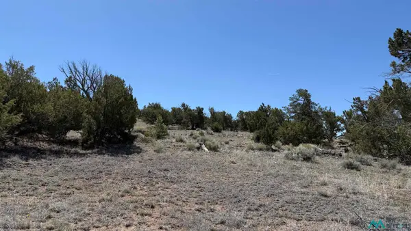 TBD Pima Drive Road, Quemado, NM 87829