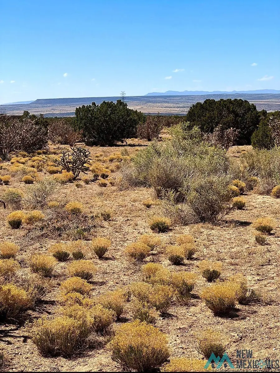 3 N Pony Court, Placitas, NM 87043 - #3