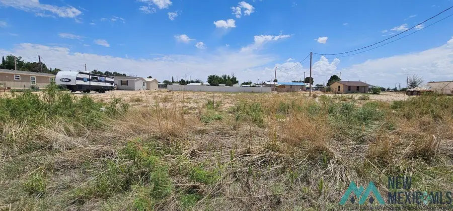 E of 111 Russell Street, Carlsbad, NM 88220 - #3