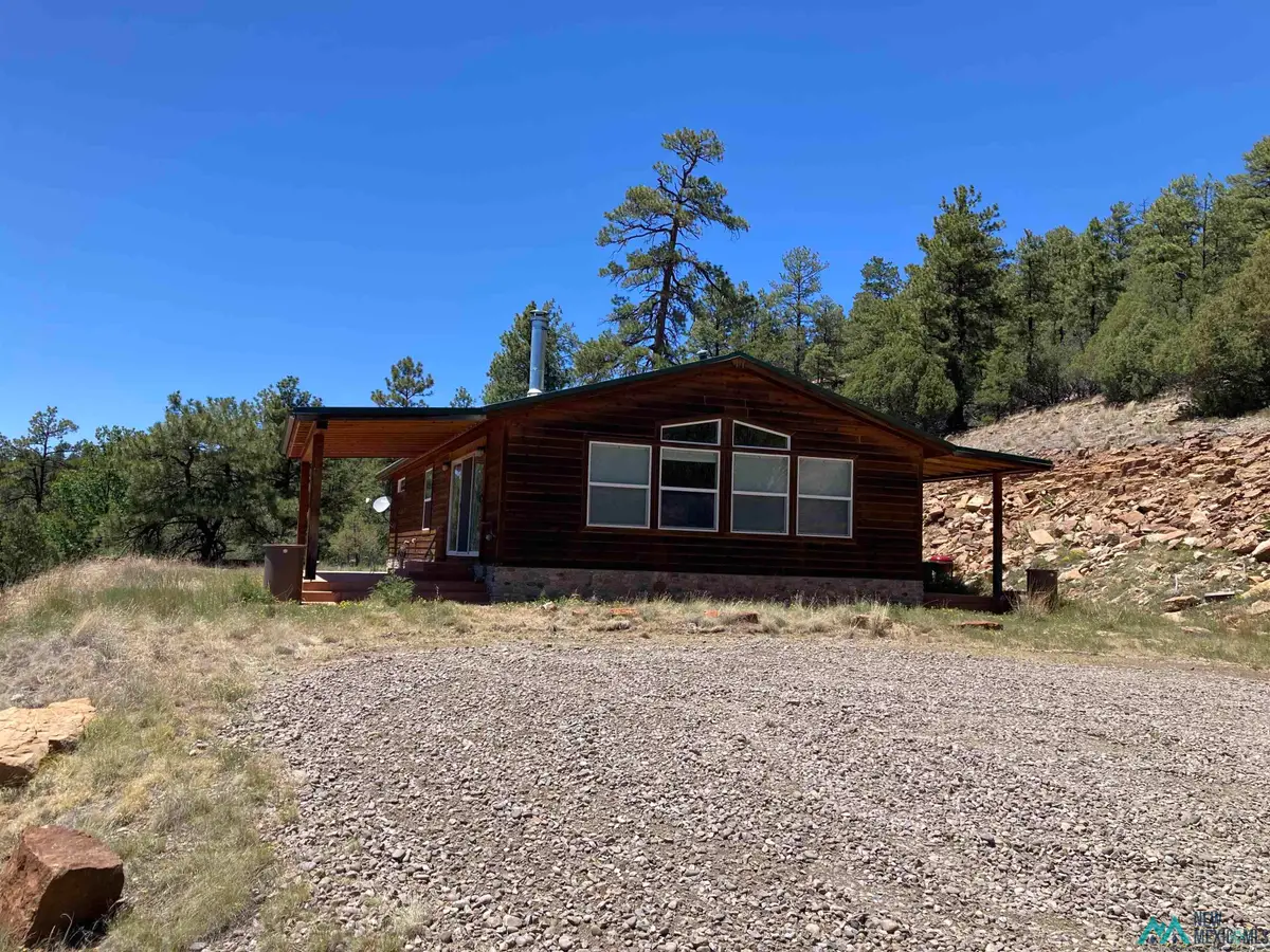 48 Buena Vista Drive, Rutheron, NM 87551 - #1