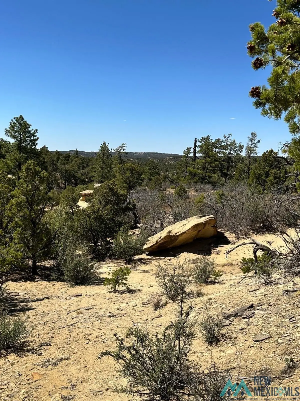 XX Ranchero Road, Datil, NM 87827 - #1