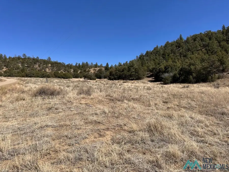 XX Ranchero Road, Datil, NM 87827 - #3